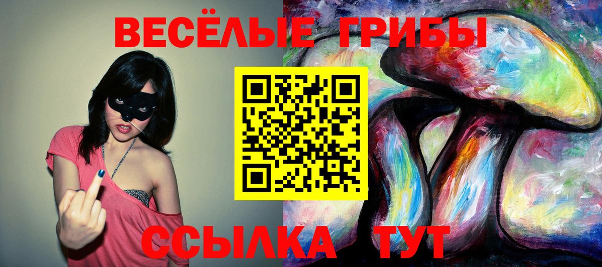 Псилоцибиновые грибы Magic Shrooms  Вход с VPN  где продают наркотики  Таганрог 